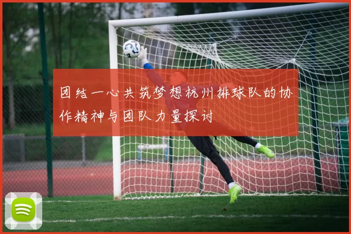 团结一心共筑梦想杭州排球队的协作精神与团队力量探讨