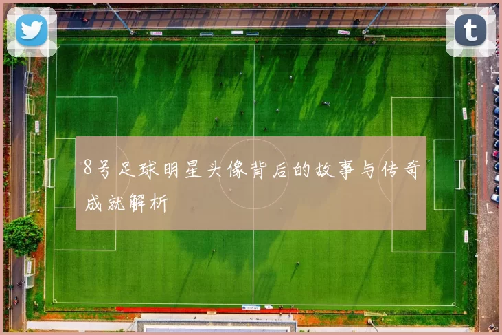 8号足球明星头像背后的故事与传奇成就解析