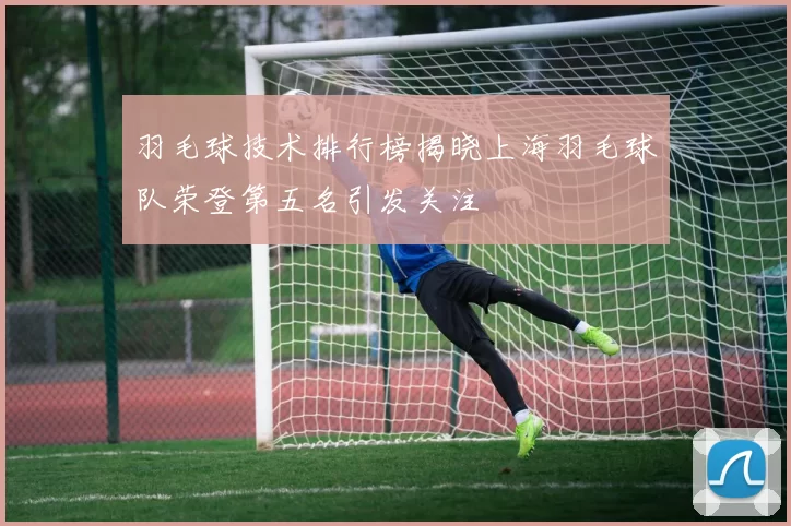 羽毛球技术排行榜揭晓上海羽毛球队荣登第五名引发关注