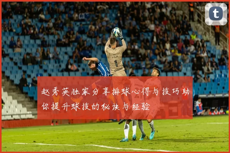 赵秀英独家分享排球心得与技巧助你提升球技的秘诀与经验