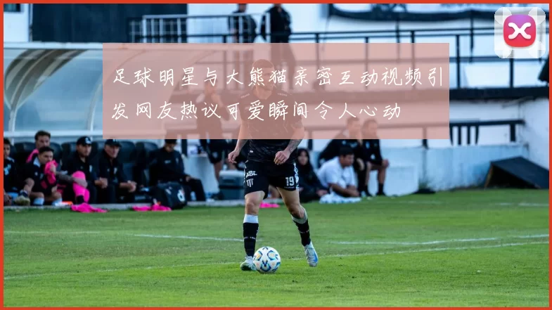足球明星与大熊猫亲密互动视频引发网友热议可爱瞬间令人心动
