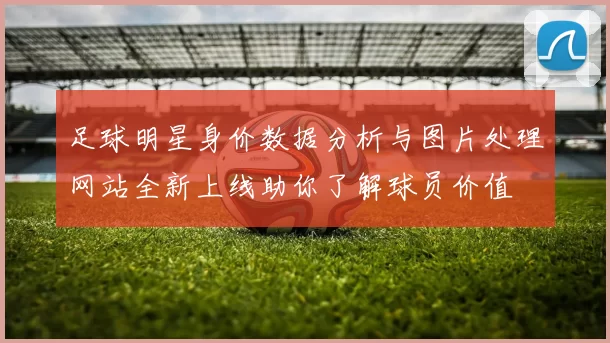 足球明星身价数据分析与图片处理网站全新上线助你了解球员价值