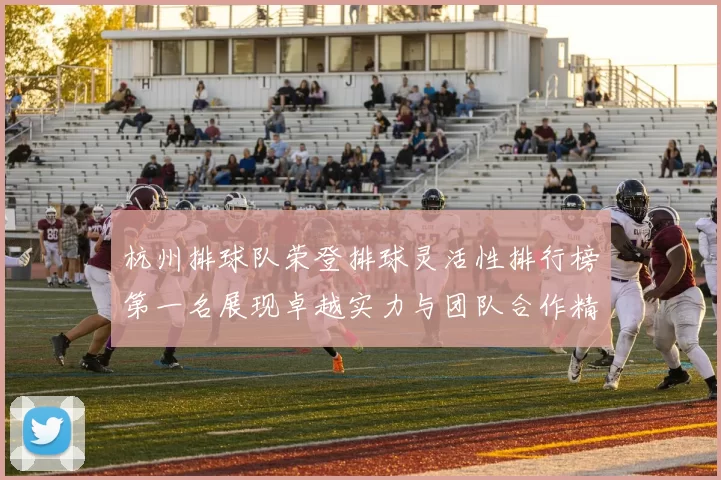 杭州排球队荣登排球灵活性排行榜第一名展现卓越实力与团队合作精神