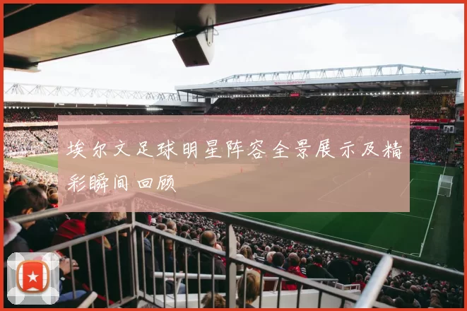 埃尔文足球明星阵容全景展示及精彩瞬间回顾