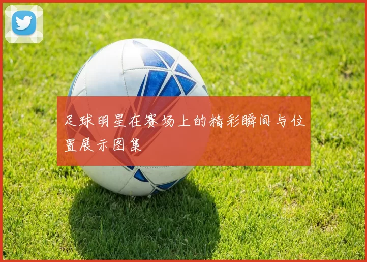 足球明星在赛场上的精彩瞬间与位置展示图集