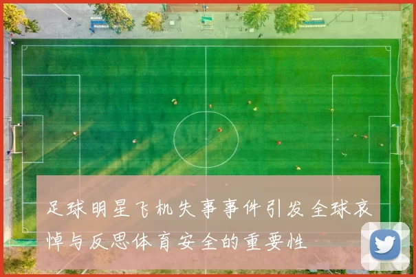 足球明星飞机失事事件引发全球哀悼与反思体育安全的重要性
