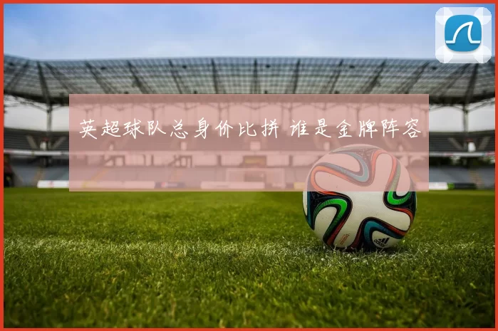英超球队总身价比拼 谁是金牌阵容