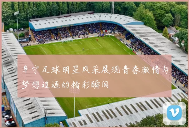 阜宁足球明星风采展现青春激情与梦想追逐的精彩瞬间