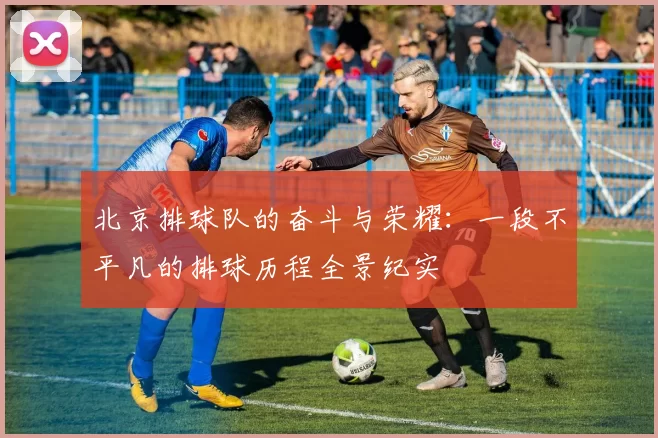 北京排球队的奋斗与荣耀：一段不平凡的排球历程全景纪实