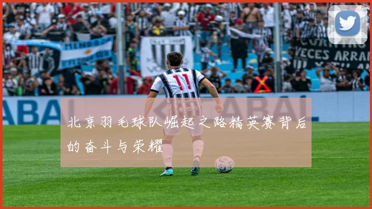 北京羽毛球队崛起之路精英赛背后的奋斗与荣耀