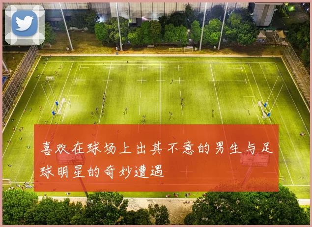 喜欢在球场上出其不意的男生与足球明星的奇妙遭遇