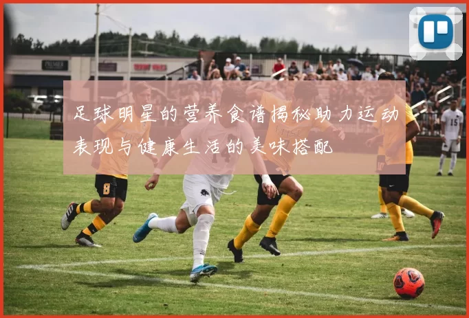 足球明星的营养食谱揭秘助力运动表现与健康生活的美味搭配