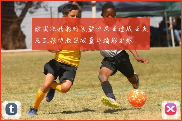 欧国联精彩对决爱沙尼亚迎战亚美尼亚期待激烈较量与精彩进球