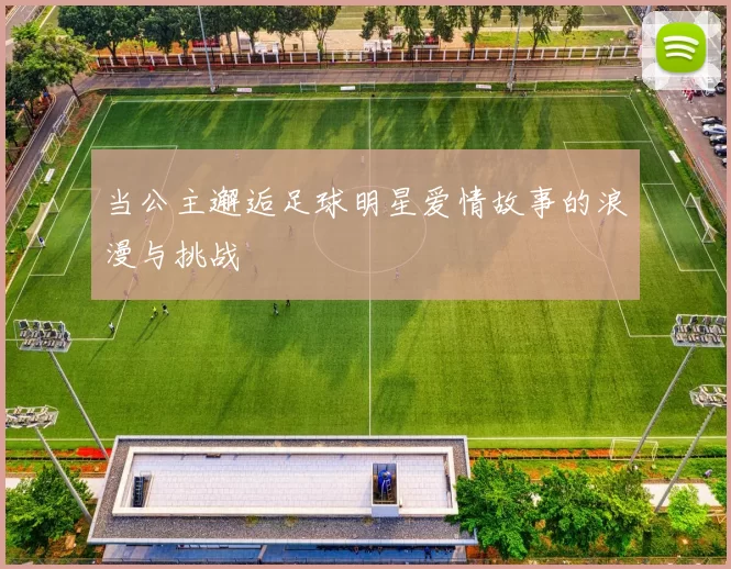 当公主邂逅足球明星爱情故事的浪漫与挑战