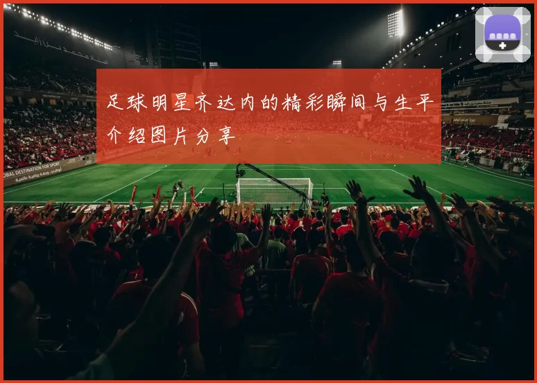 足球明星齐达内的精彩瞬间与生平介绍图片分享