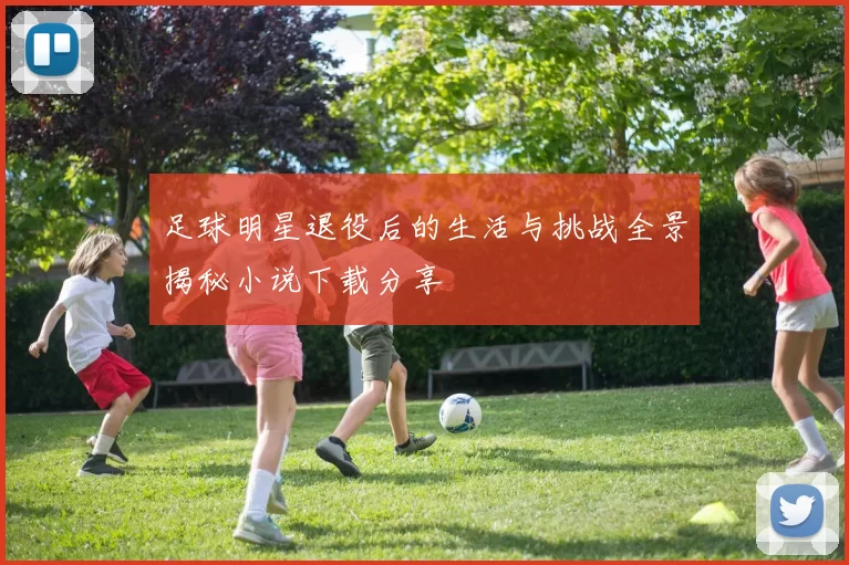 足球明星退役后的生活与挑战全景揭秘小说下载分享