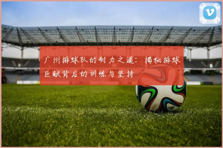 广州排球队的耐力之道：揭秘排球巨献背后的训练与坚持