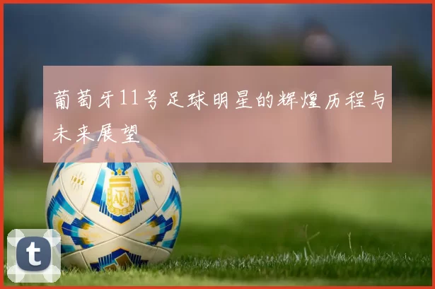葡萄牙11号足球明星的辉煌历程与未来展望