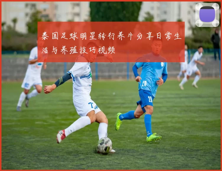 泰国足球明星转行养牛分享日常生活与养殖技巧视频