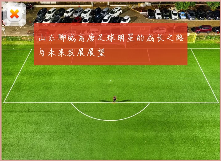 山东聊城高唐足球明星的成长之路与未来发展展望