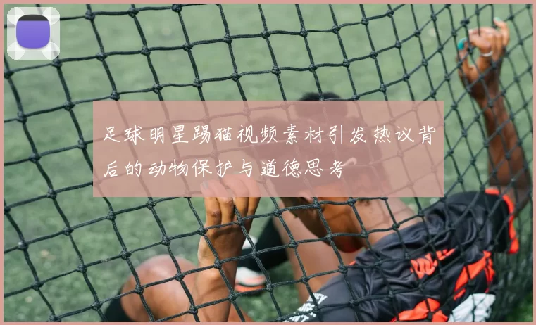 足球明星踢猫视频素材引发热议背后的动物保护与道德思考