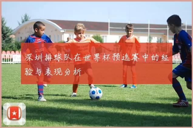 深圳排球队在世界杯预选赛中的经验与表现分析