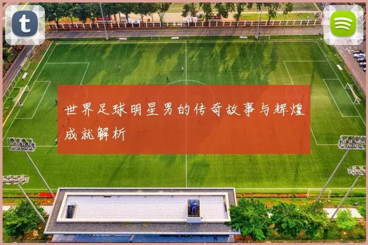 世界足球明星男的传奇故事与辉煌成就解析