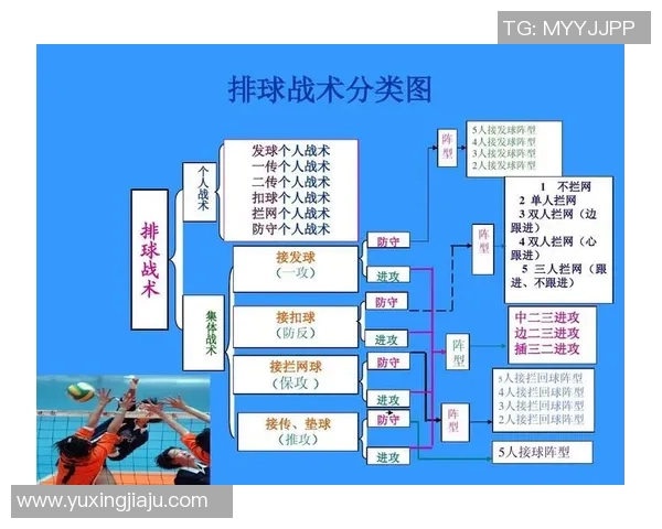 北京排球队的节奏变革引发热议推动排球新发展与战术创新