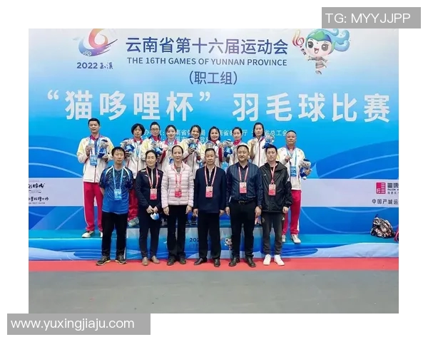 羽毛球的梦想与坚持：南京羽毛球队成长历程的真实记录与反思