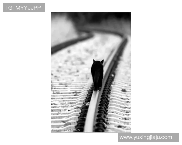 滑板与人生的交响曲:周敏的深度对话与成长旅程 滑板与人生的交响曲:周敏的深度对话与成长旅程