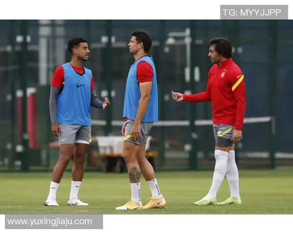 广州极限运动队实力分析与发展前景探讨